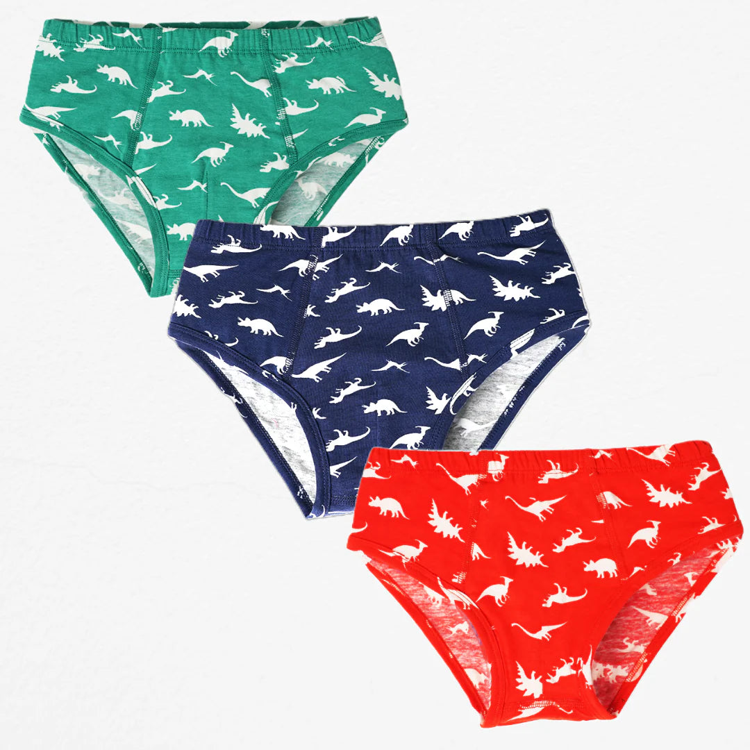 Boy's Cotton Briefs 3 Pack